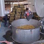 گلاب و عرقیات گیاهی معراج کاشان