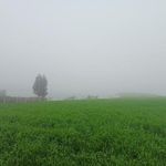 خانه بهداشت سارجه کر