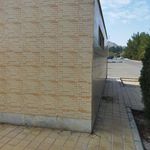 سرویس بهداشتی