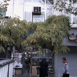 لابراتوار دندانسازی نینوس عیوض
