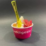 Loddigesia لادیگیزیا باشگاه اتقلاب