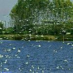 ابندان ساروکلا مازندران