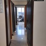 کلینیک ارتوپدی و اسیبهای ورزشی تهران