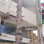 رستوران و بیرون بر امین