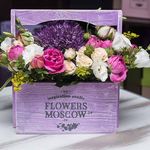 گل زنبق (سفارش انلاین)