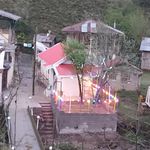 کلبه پاینده