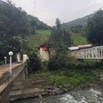 کلبه پاینده