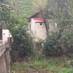 کلبه پاینده