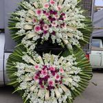 گل فروشی دنیز (آنلاین) -ارسال فوری