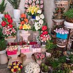 گل فروشی تینا