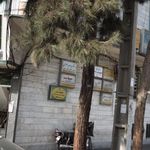 معصومه سلیمی