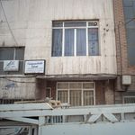 دکتر نجیبی