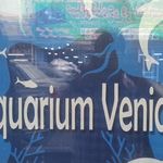 آکواریوم ونیز