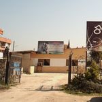 باشگاه ورزشی رز
