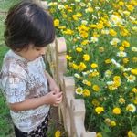 بوستان مهدی
