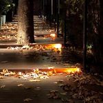 کافه کزبار هتل استقلال (شب گردی)