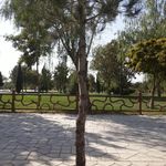 پارک فیروزه