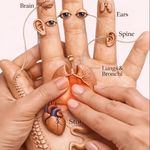 مجموعه رسپینا خدمات فیشیال ماساژ بانوان