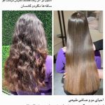 خدمات احیا و صافی و کوتاهی مو parihair