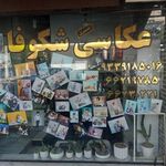 عکاسی شکوفا