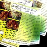 کبابی کبابی حاج علی 