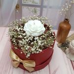 تولیدانواع شمع و گیف