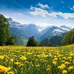 کمپ حقیقت پاک بانوان