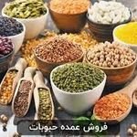 فروش عمده مواد غذایی آذین پخش