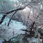 رود دره ولنجک