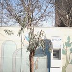 خودپرداز بانک سامان