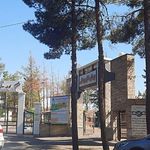 دکتر سیدحمیدرضا ذوالفقاری(بیمارستان بوعلی)