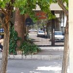 مشاور املاک اخوان رضایی