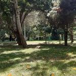 بوستان پردیس قائم