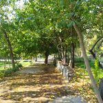 سرویس بهداشتی بوستان آرزو