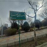 پارک زیتون