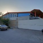 لبنیات تندیس