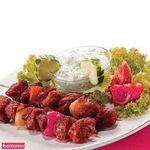 تهیه غذای نگین البرز