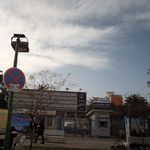 دکتر بهناز تجویدی