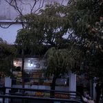 میوه و سبزیجات کامکار
