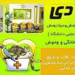 کلینیک دامپزشکی دی