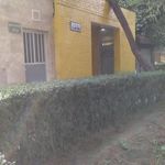 سرویس بهداشتی