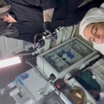 خدمات فیشال ،پاکسازی ندادمیرچی کلینیکBKD