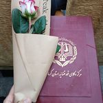 وکیل مریم میرزائی