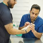 کلینیک دامپزشکی روژمان