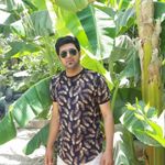 نوید کوراوندتخت سبزی