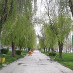 بوستان شبدیز