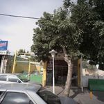اتومبیل مصطفی