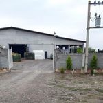 سورتینگ برادران لقمانی