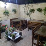 بهار نارنج حافظ