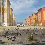 مسکن مهر رشت واحد ۱۹